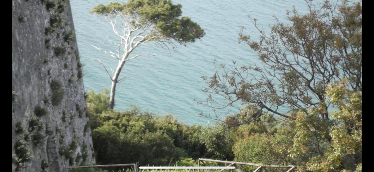 Villa Pineta San Menaio Exterior photo